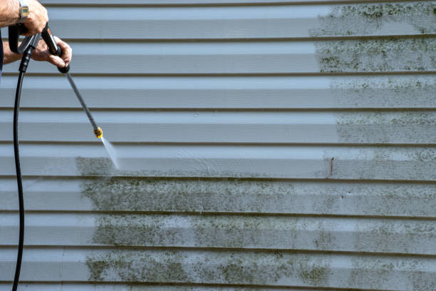 Reliable Millstadt, IL Siding Services Solutions